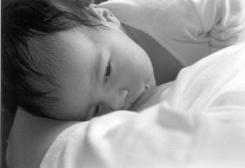 bébé au sein