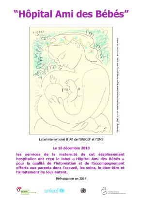 Plaque Hôpital Ami des Bébés